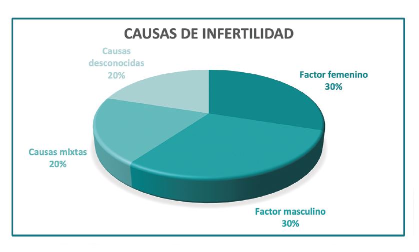 ¿Los problemas de fertilidad son más frecuentes en las mujeres? Paula Méndez