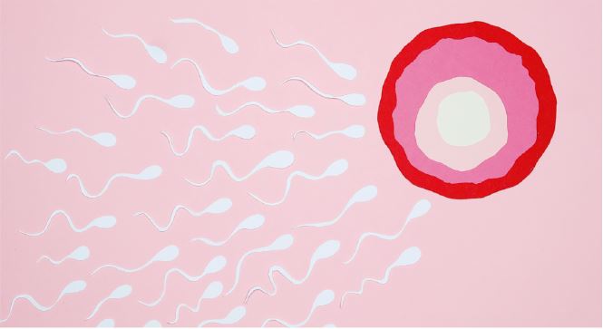 ¿Cómo influye la actividad sexual a la calidad de mi esperma? P.M.